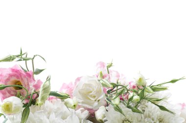 güzel pembe lisianthus çiçekler beyaz izole