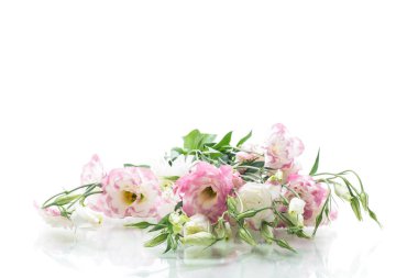 güzel pembe lisianthus çiçekler beyaz izole