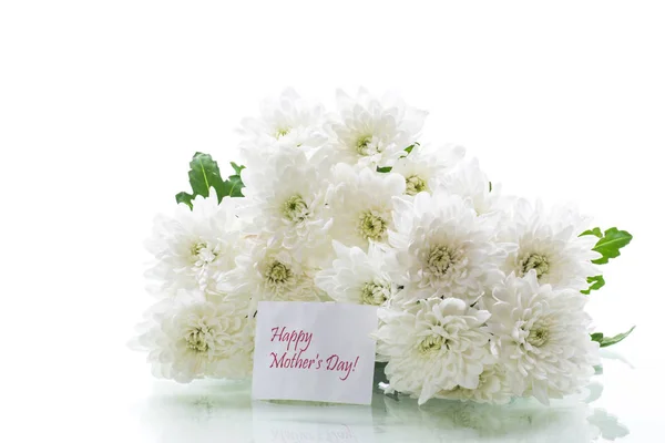 흰색 국화의 꽃다발은 흰색에 고립 — 스톡 사진