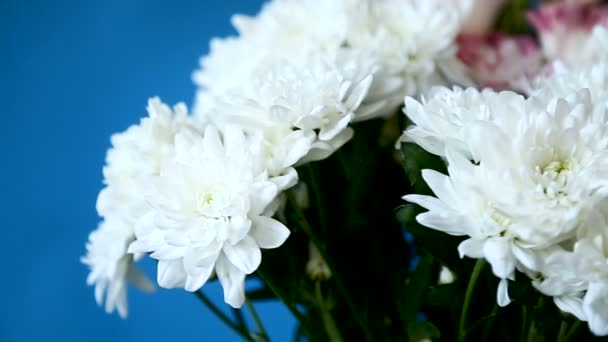 Hermoso ramo grande de crisantemos blancos y lisianthus — Vídeos de Stock