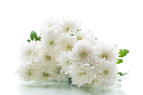 Букет белых хризантем, изолированных на белом — стоковое фото
