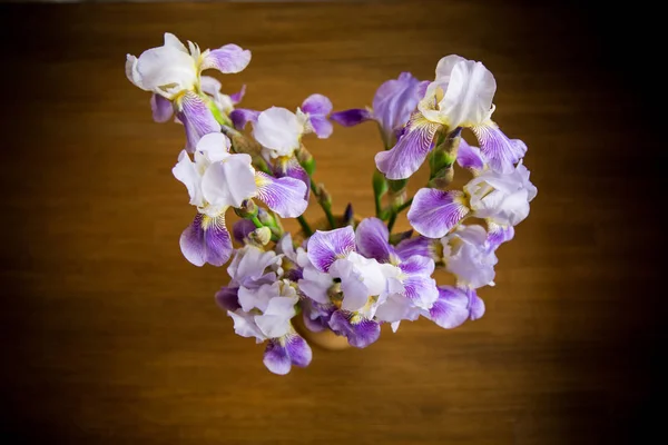 Vackra blå FLEURET-Iris. Det är på trä bakgrund — Stockfoto