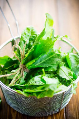 organik taze yeşil sorrel demet, bir masada.