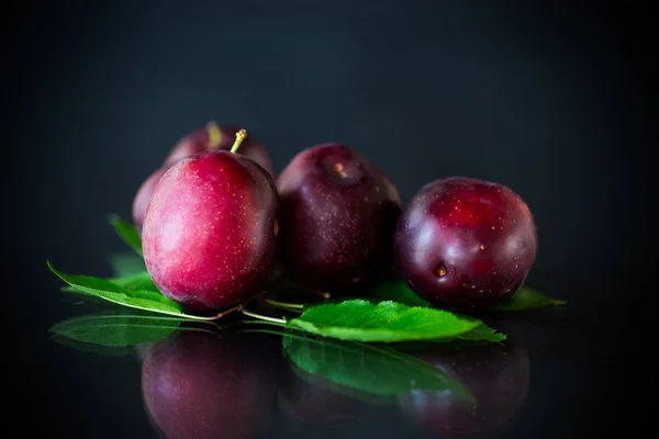 Ciruela de cereza madura roja orgánica aislada en negro — Foto de Stock