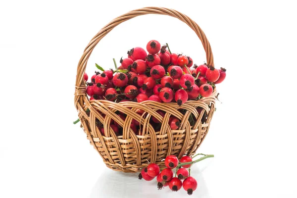 Ripe red dogrose in a basket isolated on white — Stock Photo, Image