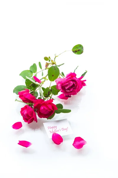 Strauß schöner roter Rosen auf einem weißen — Stockfoto