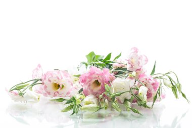 güzel pembe lisianthus çiçekler beyaz izole