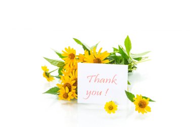 beyaz bir sarı büyük papatyalar buketi