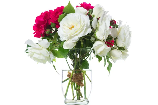Букет красивих червоних троянд на білому — стокове фото