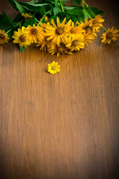 Bouquet of yellow big daisies on a wooden — Stock Photo, Image