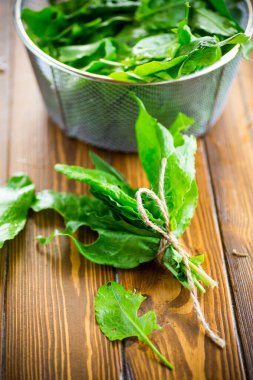 organik taze yeşil sorrel demet, bir masada.