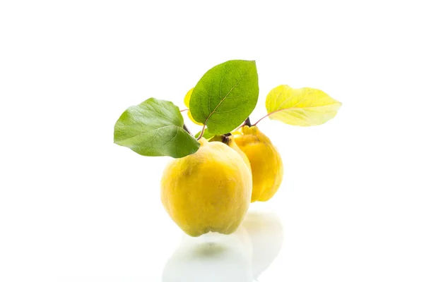 Ripe natural organic quince isolated on a white — ストック写真