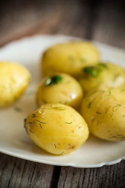 Вареная молодая картошка с маслом и укропом в тарелке — стоковое фото