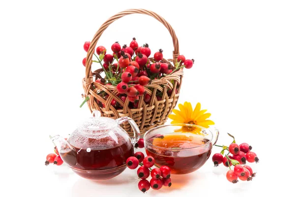Heißer Tee aus den Früchten der roten reifen Hagebutte — Stockfoto