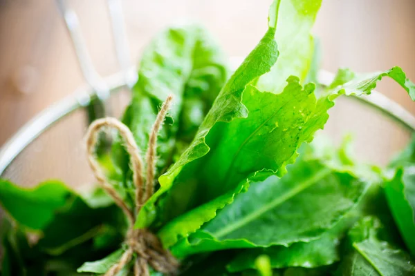 Racimo de acedera verde fresca orgánica, sobre una mesa . — Foto de Stock