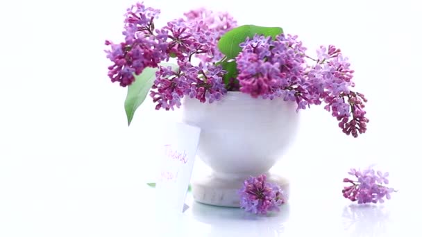 Kytice krásných kvetoucích šeříků ve váze — Stock video