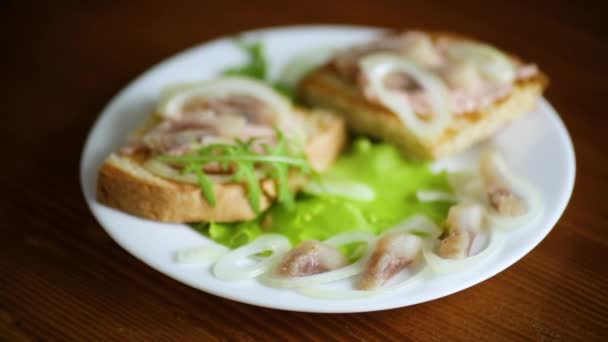 Sandwich de queso y palitos de cangrejo en la parte superior — Vídeos de Stock