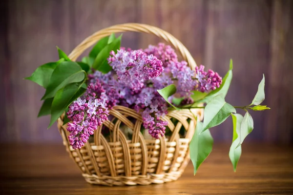 Bouquet Beautiful Blooming Lilacs Basket Wooden Table — Stock Photo, Image