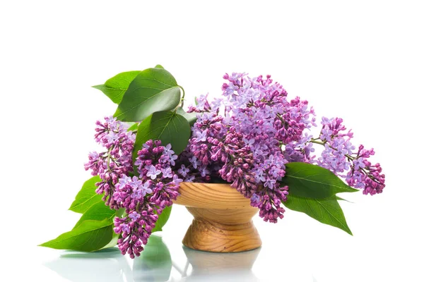 Ramo Hermosas Lilas Flor Jarrón Aislado Sobre Fondo Blanco —  Fotos de Stock