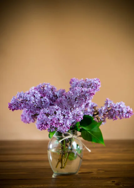 Ramo Hermosas Flores Primavera Lila Sobre Fondo Naranja —  Fotos de Stock