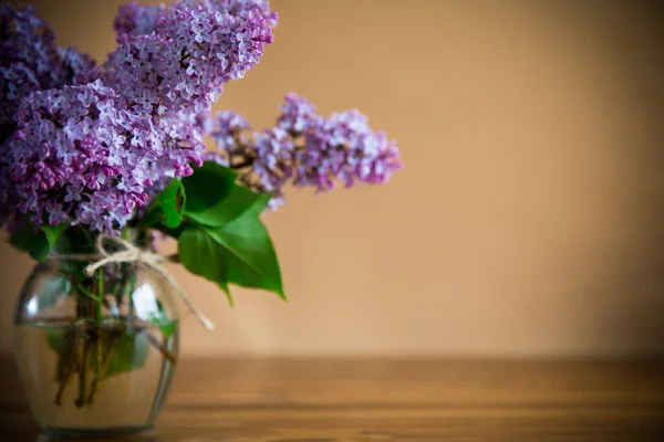 Bouquet Beautiful Spring Lilac Flowers Orange Background — Stock Photo, Image