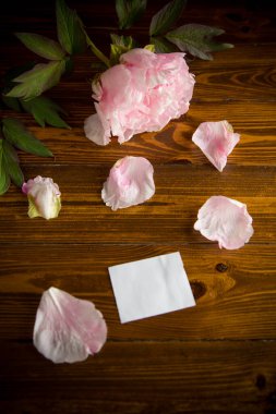 Yaprakları olan pembe bir çiçek, tahta bir masanın üzerinde boş bir kart.