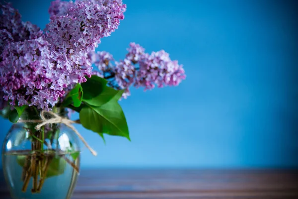 Bouquet Bellissimi Fiori Lilla Primaverili Sfondo Blu — Foto Stock