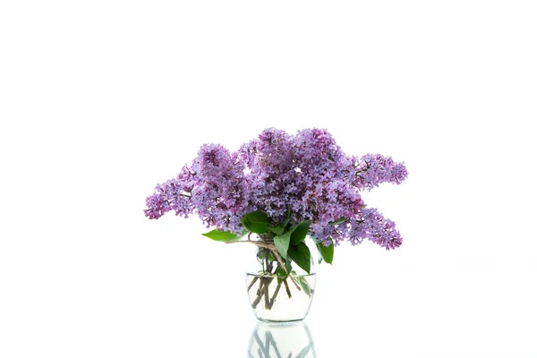 Ramo Hermosas Flores Primavera Color Lila Aislado Sobre Fondo Blanco — Foto de Stock