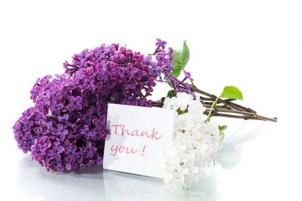 Bouquet Beautiful Blooming Lilacs Isolated White Background — Stock Photo, Image