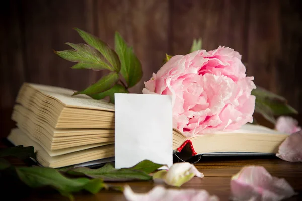 Peonía Rosa Hermosa Flor Libro Tarjeta Vacía Una Mesa Madera — Foto de Stock