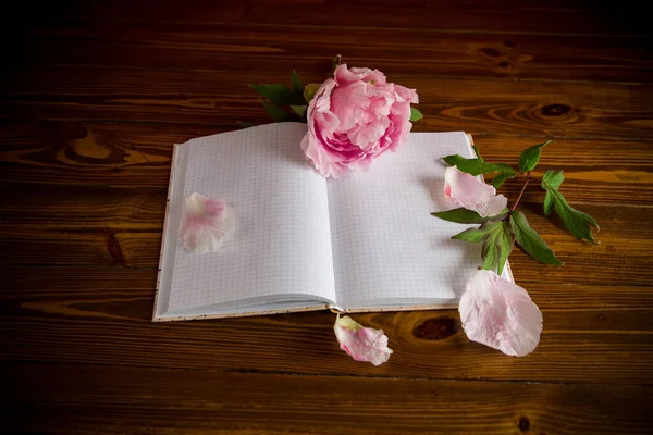 Ροζ Όμορφη Παιώνια Πέταλα Κενό Σημειωματάριο Για Κείμενο Ξύλινο Τραπέζι — Φωτογραφία Αρχείου