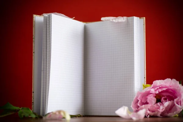 Peônia Bonita Rosa Com Pétalas Caderno Branco Texto Uma Mesa — Fotografia de Stock