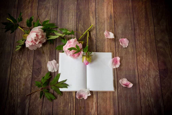 Όμορφο Ροζ Ανθισμένες Παιώνιες Ένα Λεπτομερές Κενό Σημειωματάριο — Φωτογραφία Αρχείου