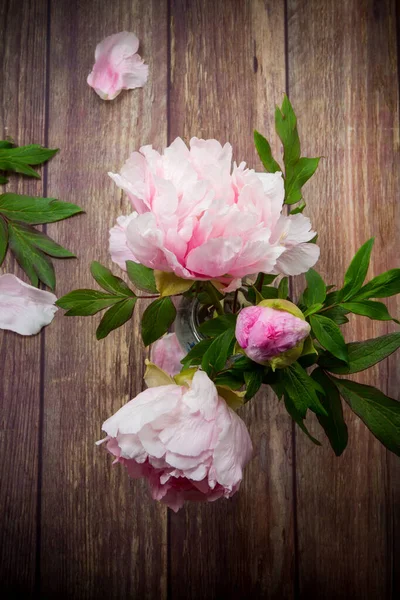 Mooie bloeiende pioenrozen met bloemblaadjes op een houten tafel — Stockfoto