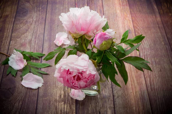 Mooie bloeiende pioenrozen met bloemblaadjes op een houten tafel — Stockfoto