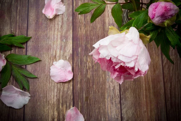 Mooie bloeiende pioenrozen met bloemblaadjes op een houten tafel — Stockfoto