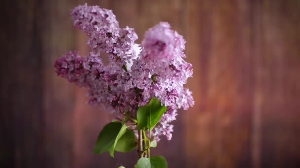桌上放着一束美丽的紫丁香春花 — 图库视频影像