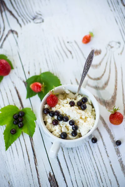 Fresh homemade cottage cheese with summer berries — Stock Photo, Image