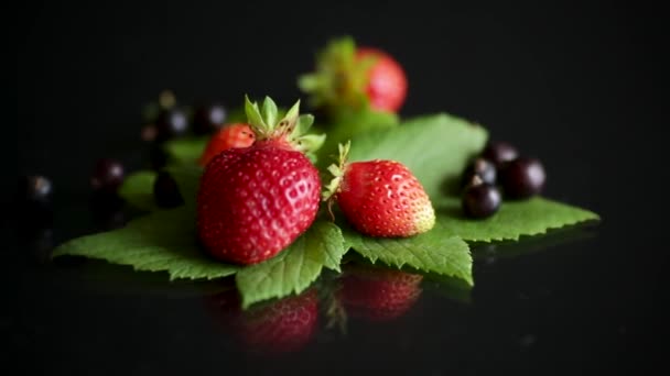 Fresas rojas maduras y bayas de grosella negra — Vídeo de stock