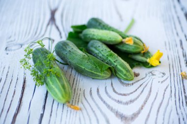 Tahtadaki taze yeşil salatalıklar.