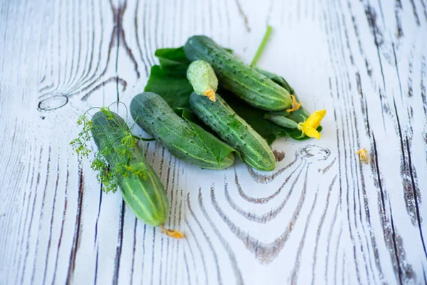 Frische natürliche grüne Gurken auf einem hölzernen — Stockfoto