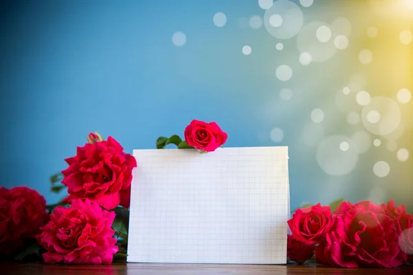 Букет красивых красных роз на голубом — стоковое фото