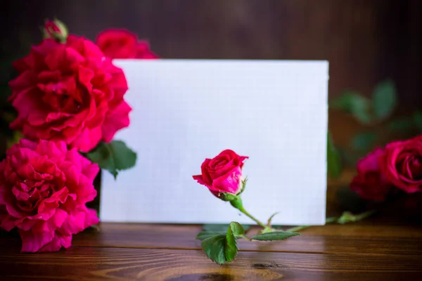 Bouquet de belles roses rouges sur la table — Photo