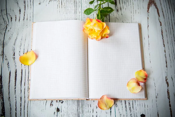 Hermosa rosa amarilla y cuaderno en blanco como un espacio en blanco — Foto de Stock