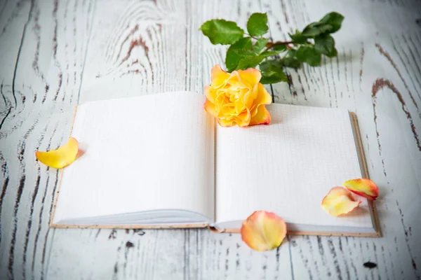 Красива жовта троянда і порожній блокнот як порожній — стокове фото
