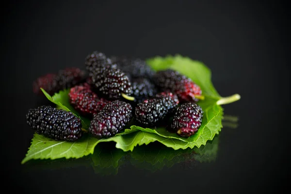 Mûrier avec feuille sur fond noir — Photo