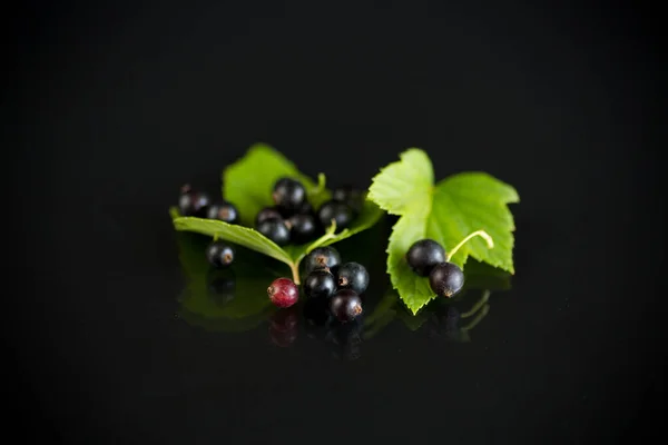 Reife schwarze Johannisbeeren mit Blättern auf schwarzem Hintergrund — Stockfoto