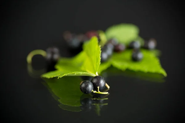 Ripe black currants with leaves on black background — Stock Photo, Image