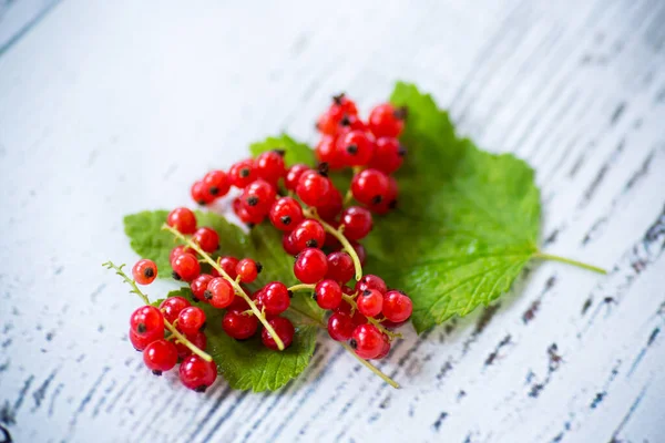 Ripe summer berry red currant on a wooden — Stock Photo, Image