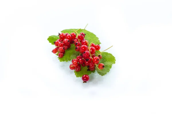 Ripe summer berry red currant isolated on white — Stock Photo, Image